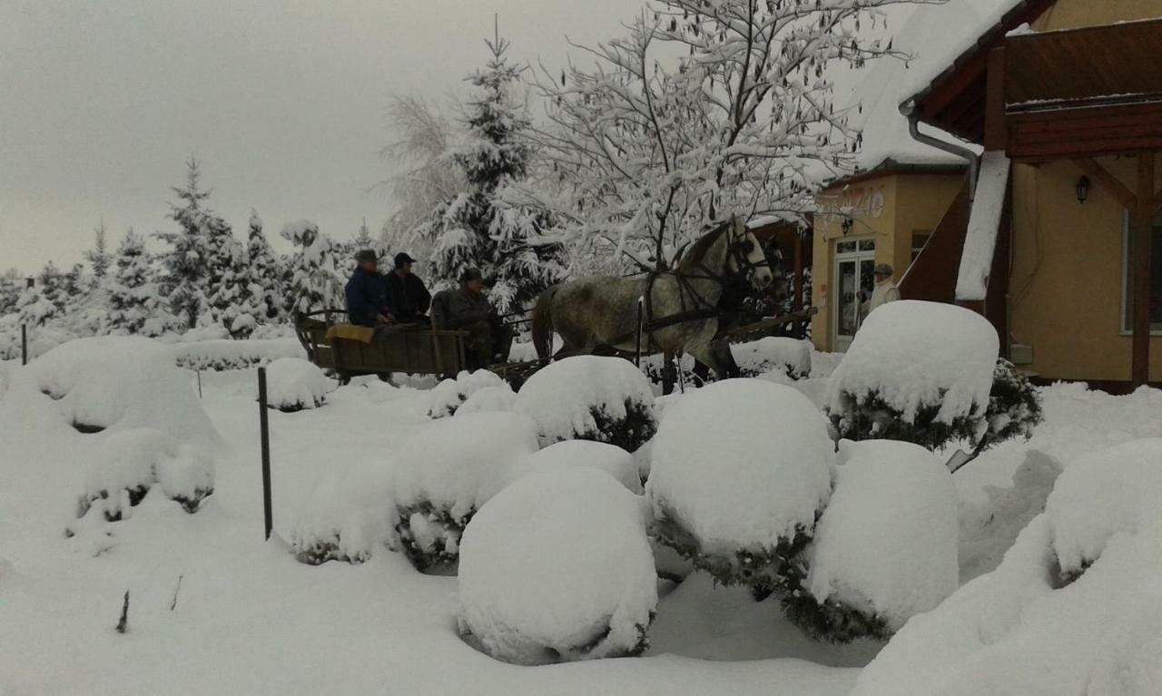 Bed and Breakfast Hartmann Panzio Barcs Zewnętrze zdjęcie